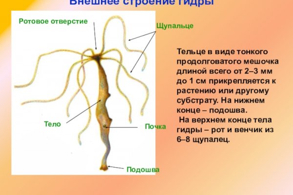 Что такое кракен 2024 маркетплейс