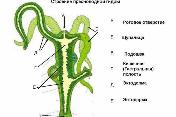 Кракен площадка торговая что это